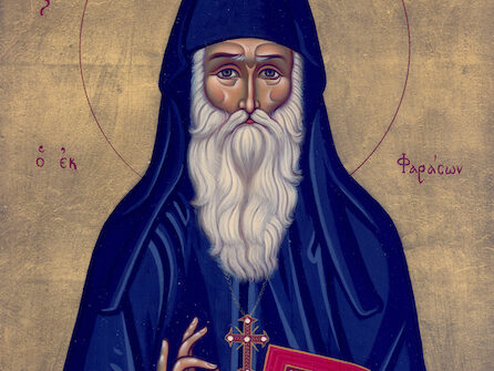 ΑΓΙΟΣ-ΑΡΣΕΝΙΟΣ-ΚΑΠΠΑΔΟΚΗΣ-2