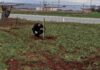 Ανακοίνωση: Έναρξη μαθημάτων γεωργικών πρακτικών στην Ιερά Μητρόπολη Μόρφου